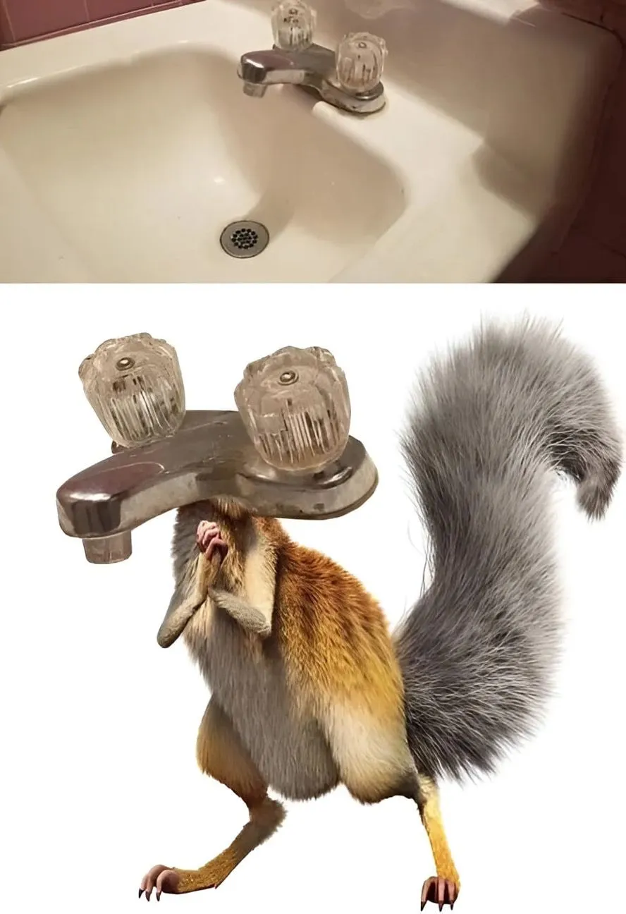It's the Ice Age squirrel! .jpg?format=webp