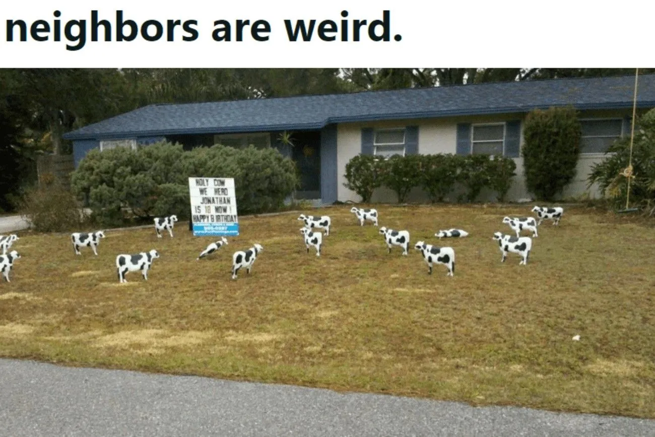 So many cows!.jpg?format=webp