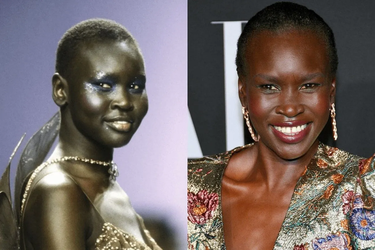 Alek Wek.jpg?format=webp