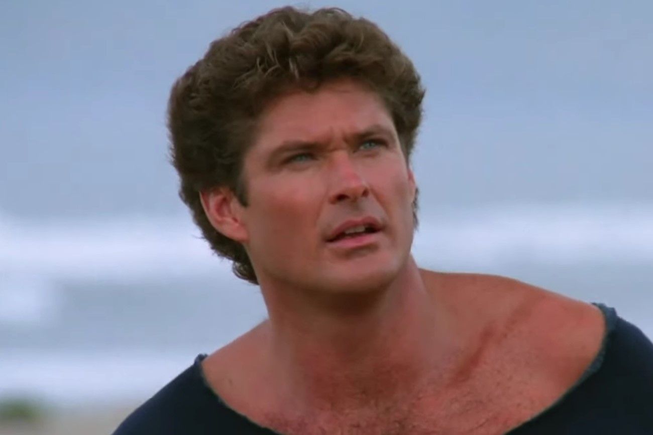 David Hasselhoff – Then.jpg?format=webp