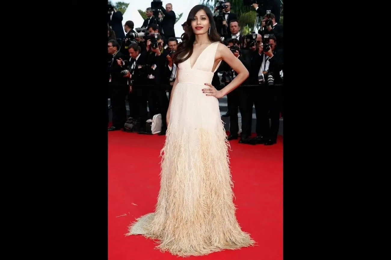 Freida Pinto 2014 Cannes Festival.jpg?format=webp