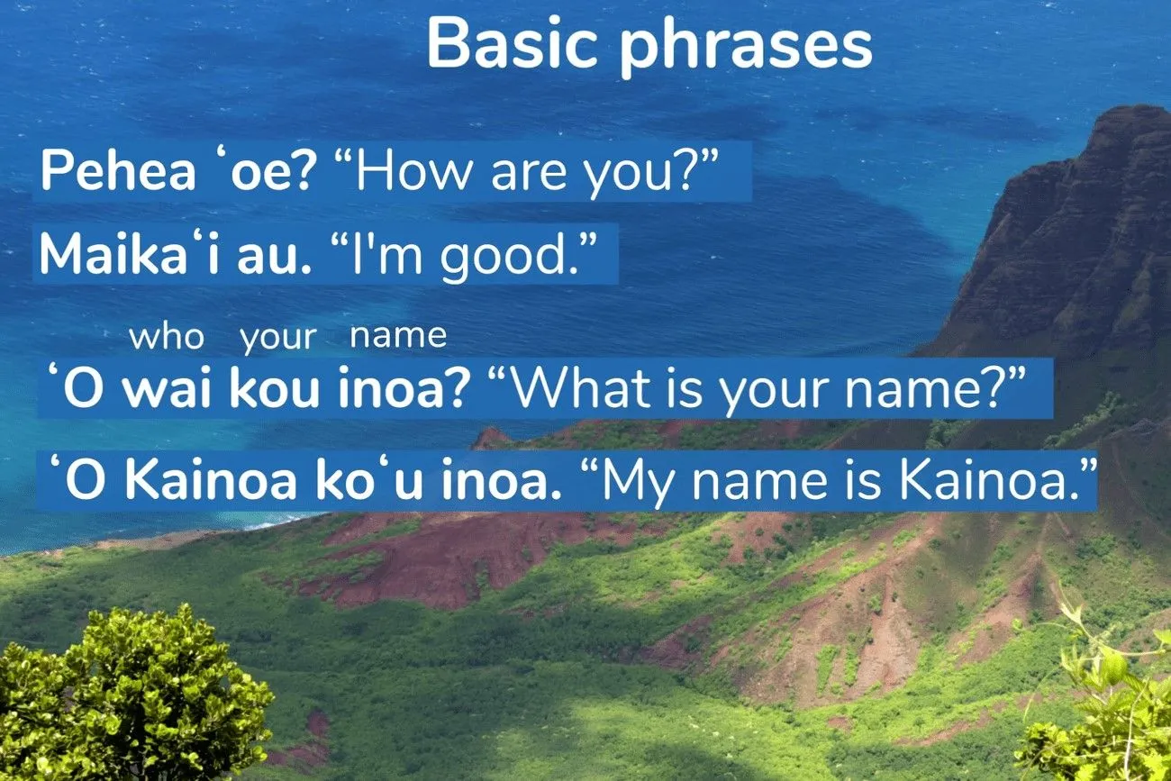 In Hawaii, Hawaiian is the official language.jpg?format=webp