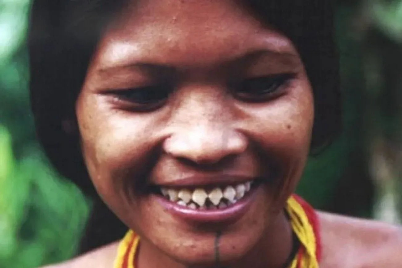 Sharp Teeth – Indonesia.jpg?format=webp