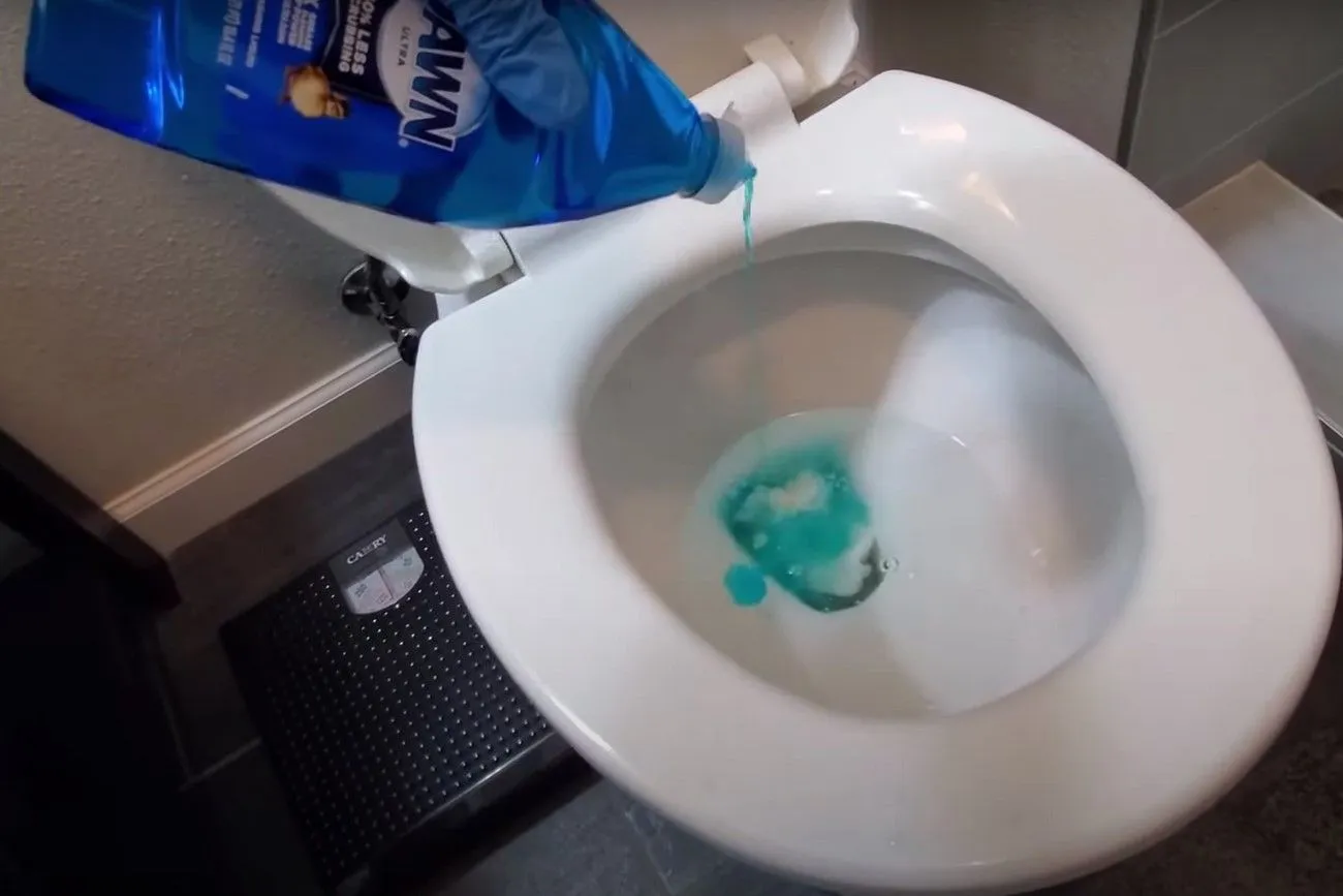 Using Dish Soap in the Toilet.jpg?format=webp